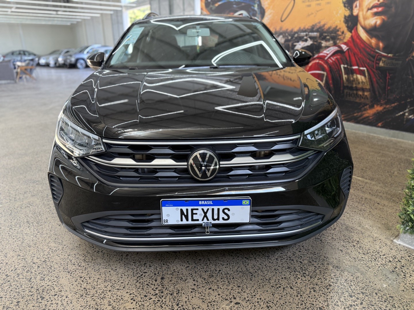 VOLKSWAGEN NIVUS