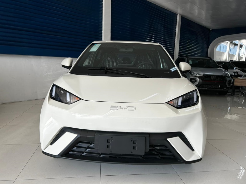 BYD DOLPHIN MINI