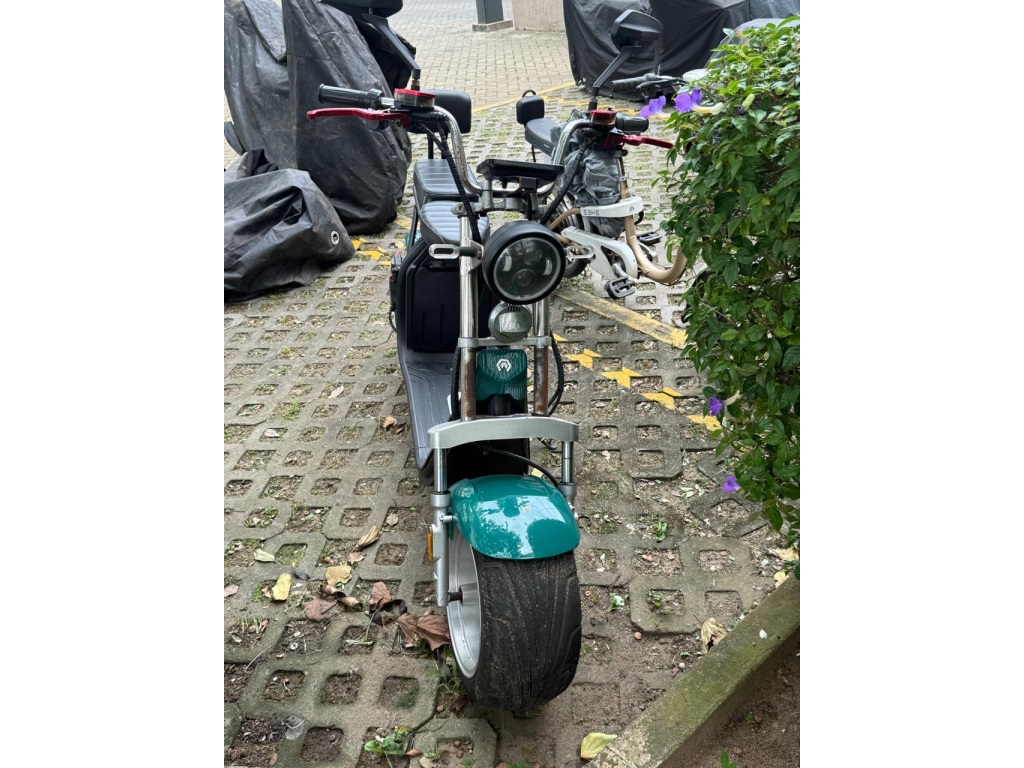 BASHI MOTORS X-BUDDY 1000W