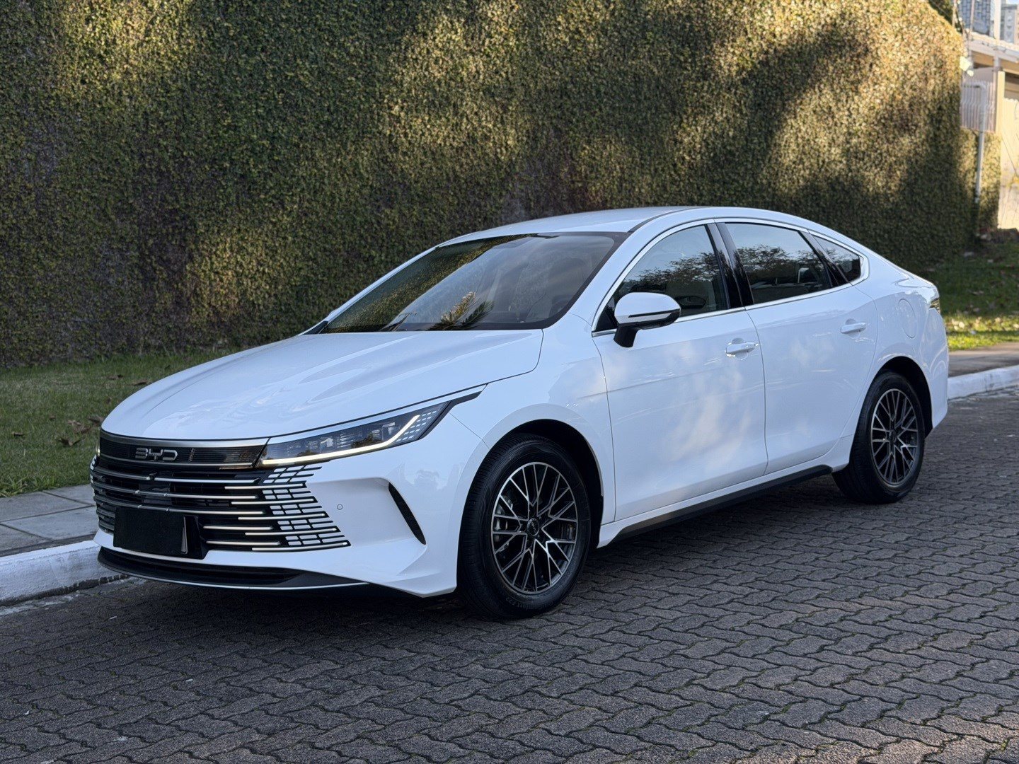 BYD KING
