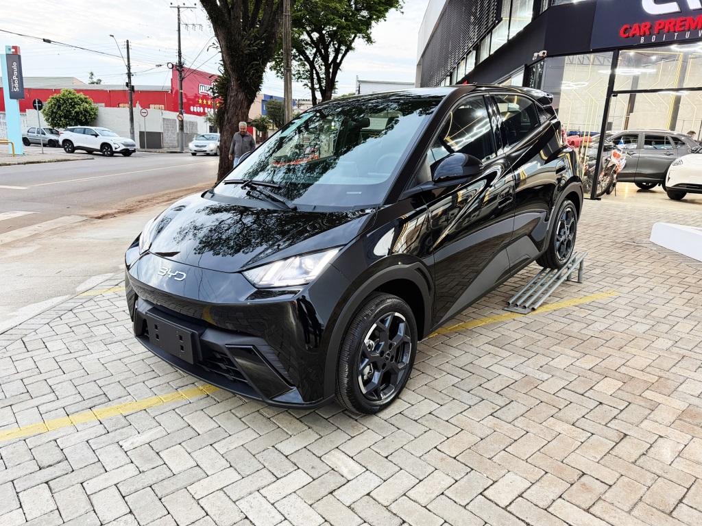 BYD DOLPHIN MINI
