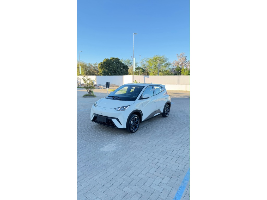 BYD DOLPHIN MINI
