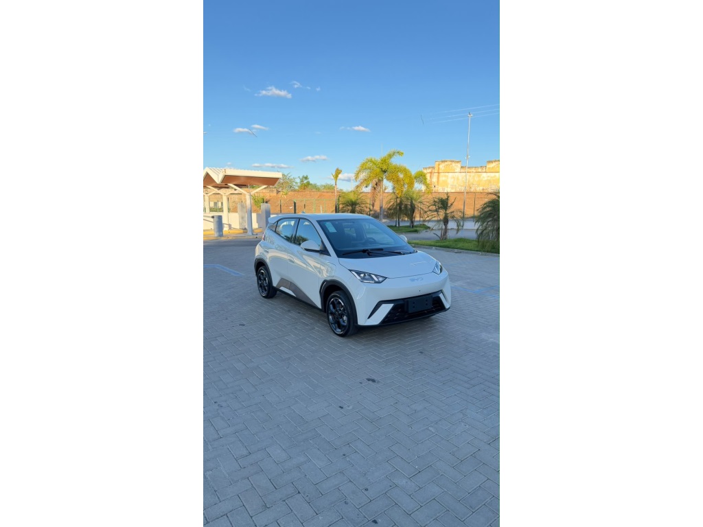 BYD DOLPHIN MINI