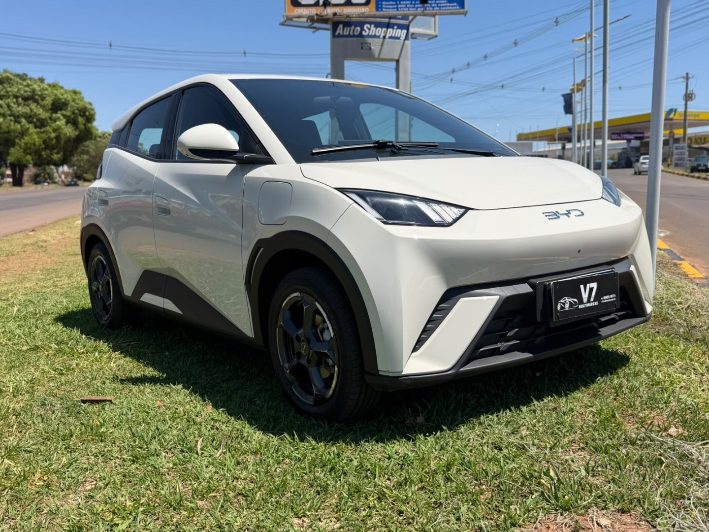 BYD DOLPHIN MINI