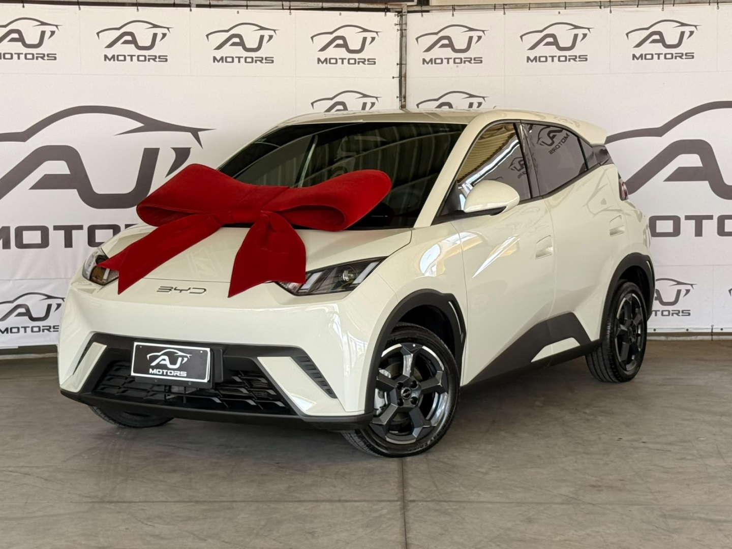 BYD DOLPHIN MINI