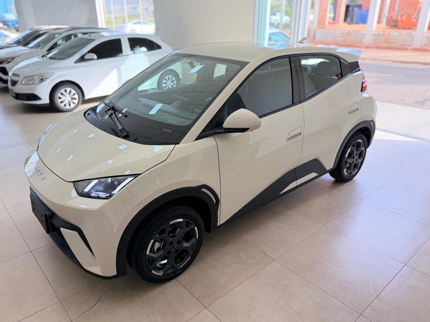 BYD DOLPHIN MINI