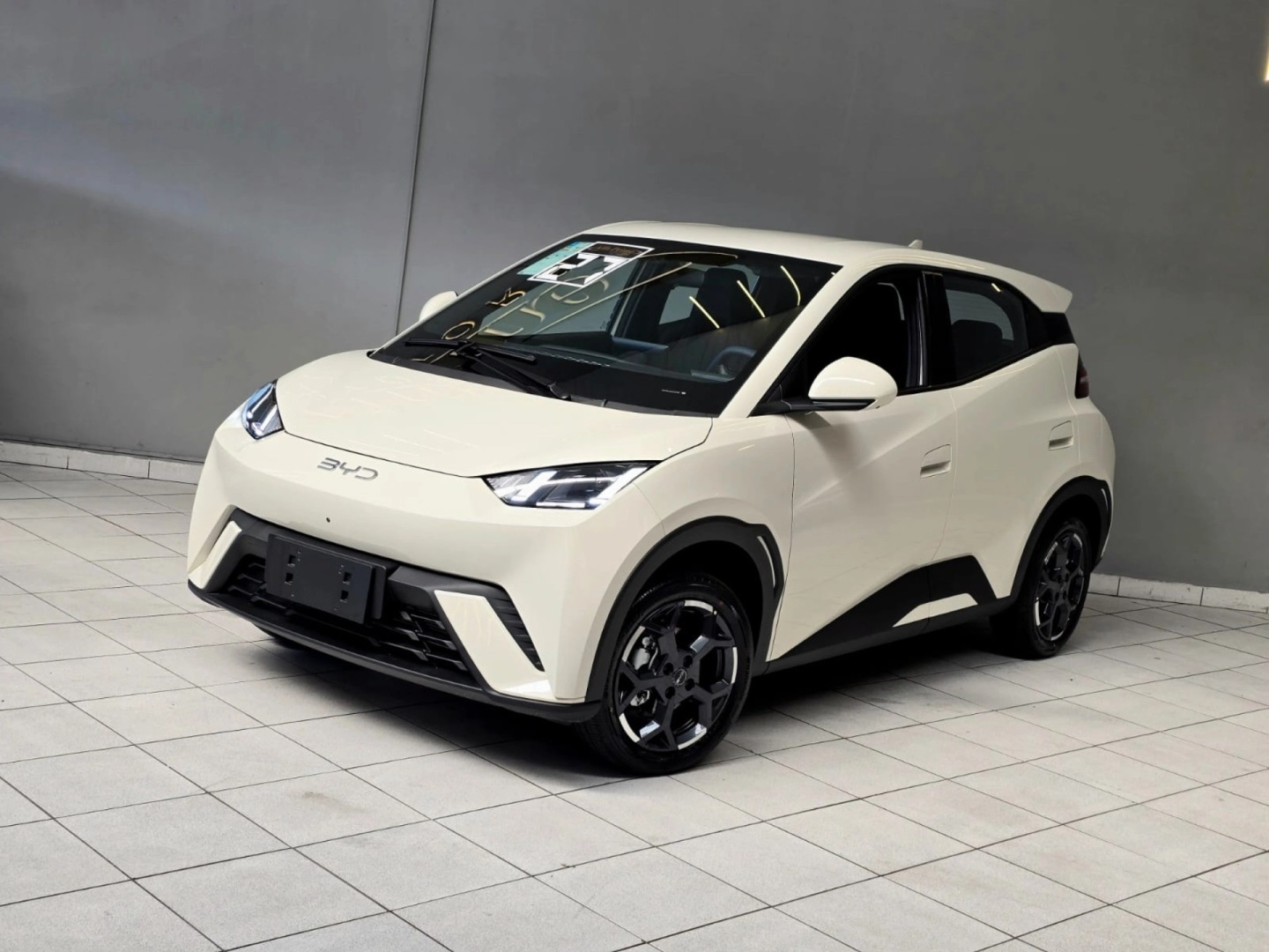 BYD DOLPHIN MINI