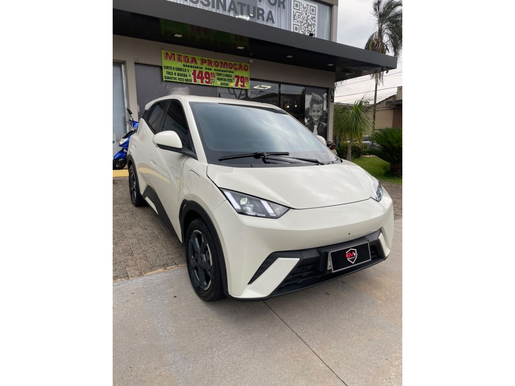 BYD DOLPHIN