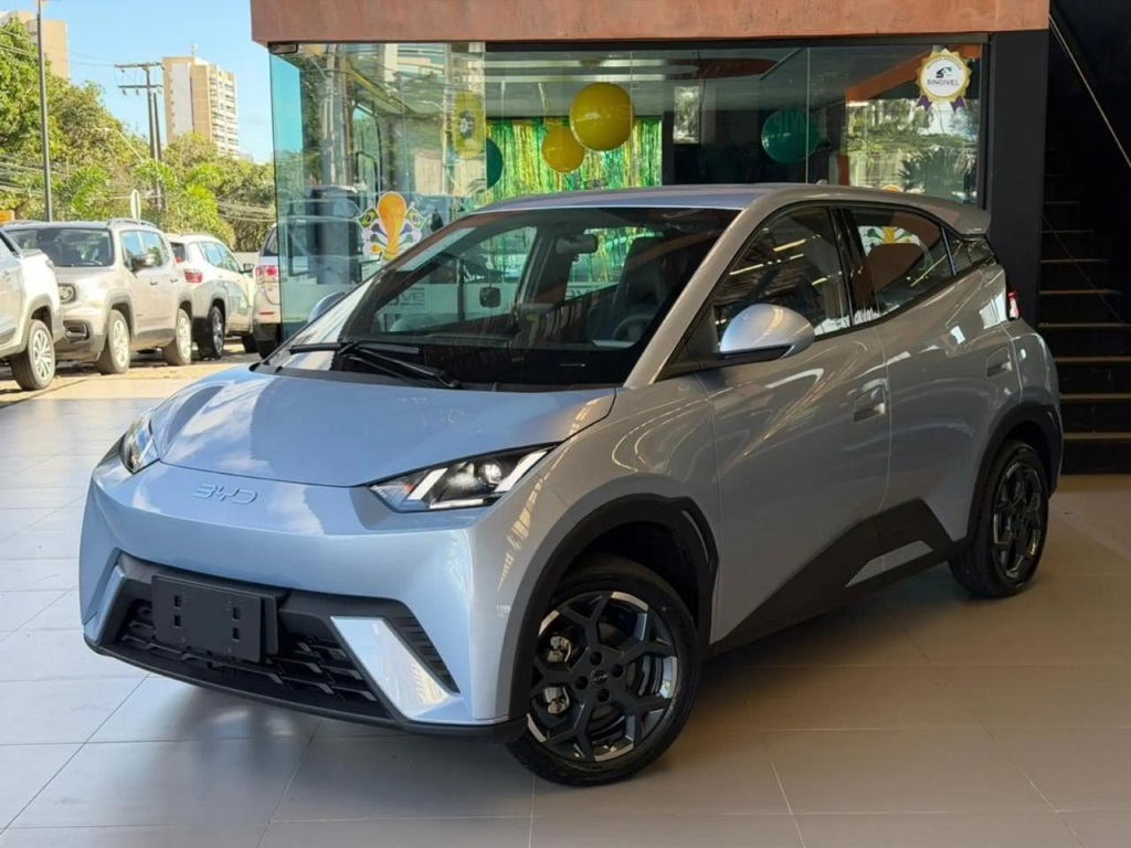 BYD DOLPHIN MINI