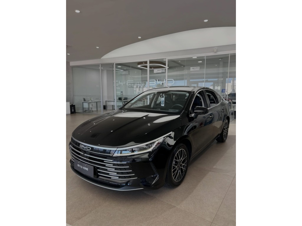 BYD KING