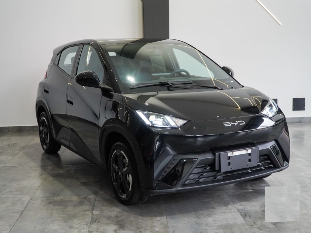 BYD DOLPHIN MINI